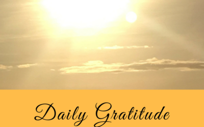 Daily Gratitude 11.1
