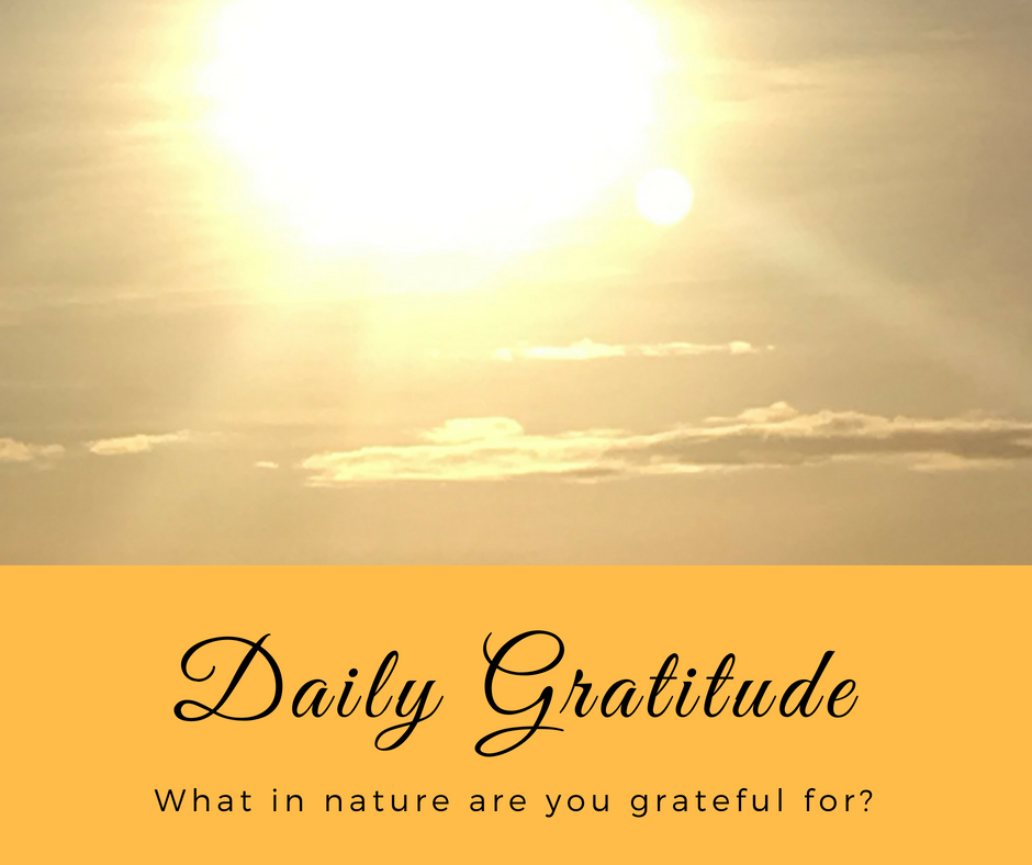 Daily Gratitude