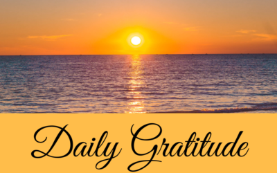 Daily Gratitude 12.1
