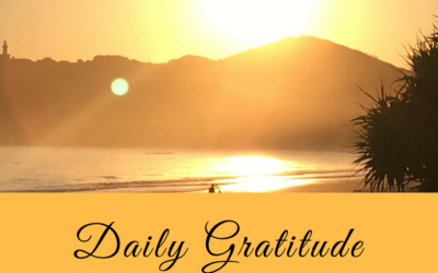 Daily Gratitude 12.2