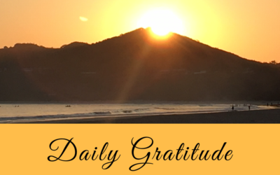 Daily Gratitude 12.3