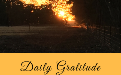 Daily Gratitude 13.1