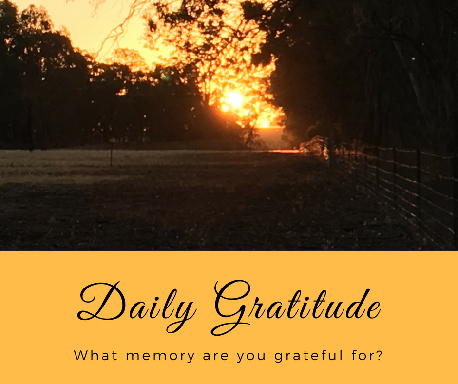 Daily Gratitude