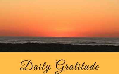 Daily Gratitude 14.2
