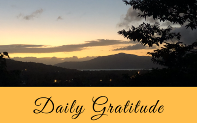 Daily Gratitude 14.7