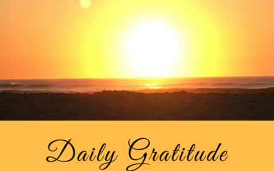 Daily Gratitude 14.8