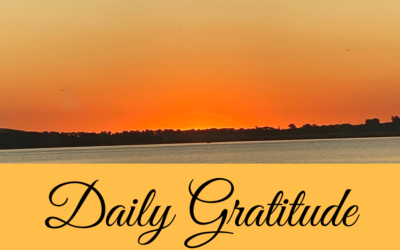 Daily Gratitude 15.12