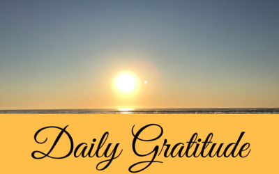 Daily Gratitude 16.3