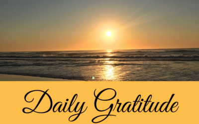 Daily Gratitude 17.3