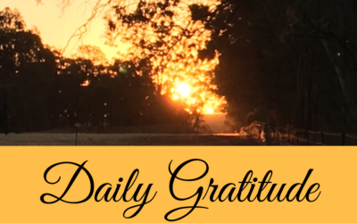 Daily Gratitude 19.3