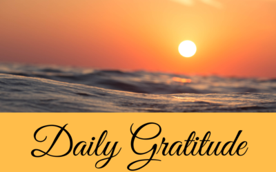 Daily Gratitude 31.12
