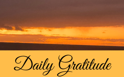 Daily Gratitude 2.1