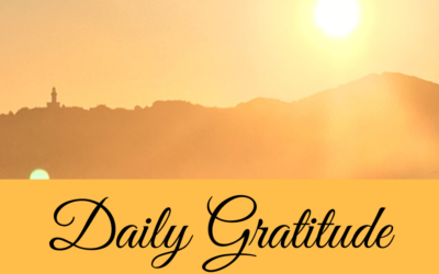 Daily Gratitude 21.3