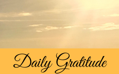 Daily Gratitude 21.8