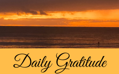 Daily Gratitude 24.12