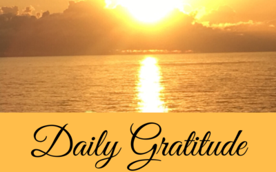 Daily Gratitude 27.7