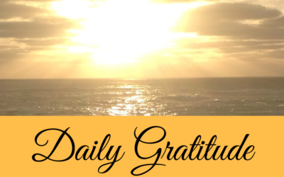 Daily Gratitude 28.3