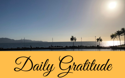 Daily Gratitude 28.8
