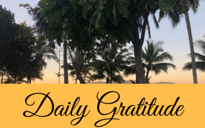Daily Gratitude 29.3