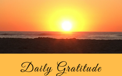 Daily Gratitude 3.10