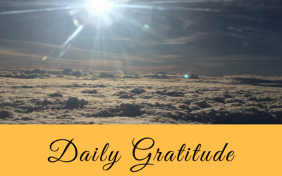 Daily Gratitude 3.3