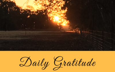 Daily Gratitude 3.8