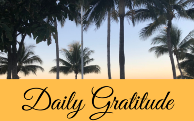Daily Gratitude 30.3