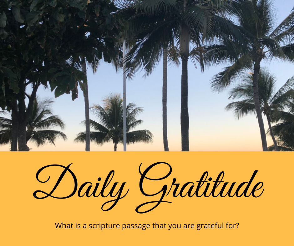 Daily Gratitude 30.3