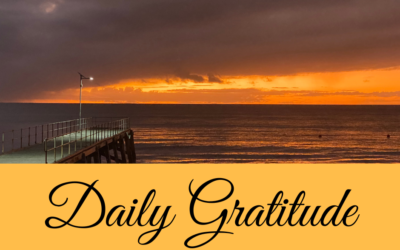 Daily Gratitude 4.1