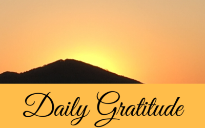Daily Gratitude 4.9