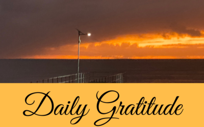 Daily Gratitude 5.12