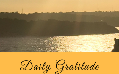 Daily Gratitude 6.1