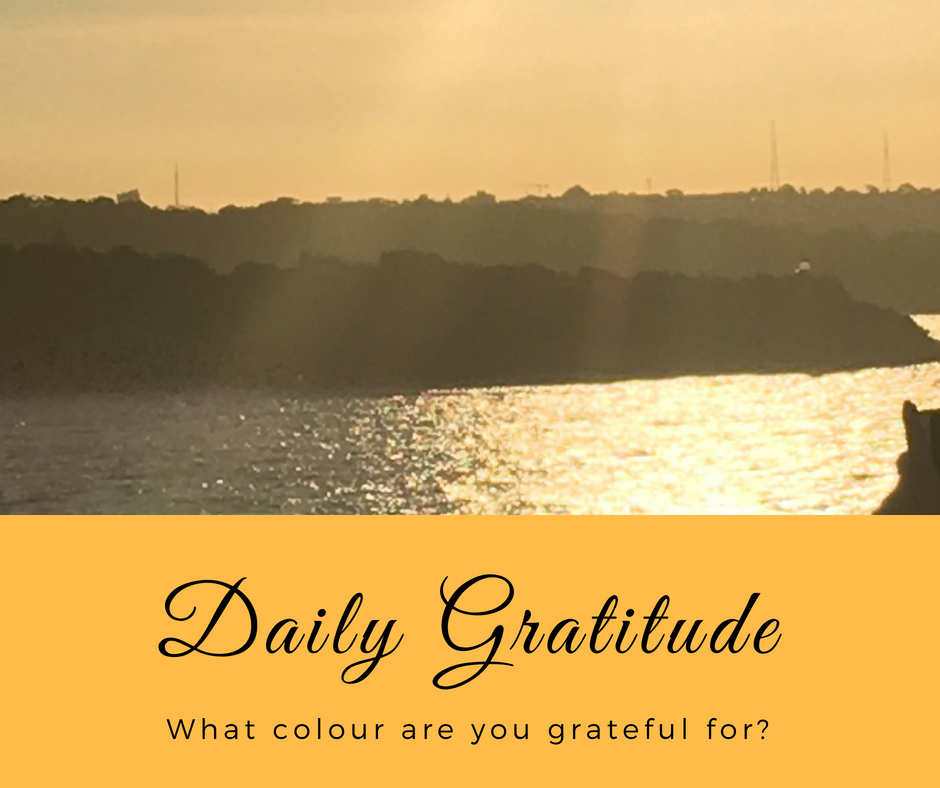 Daily Gratitude