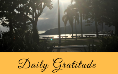 Daily Gratitude 6.2
