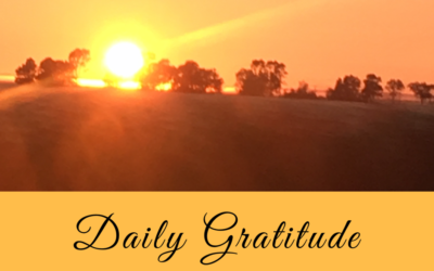 Daily Gratitude 6.3