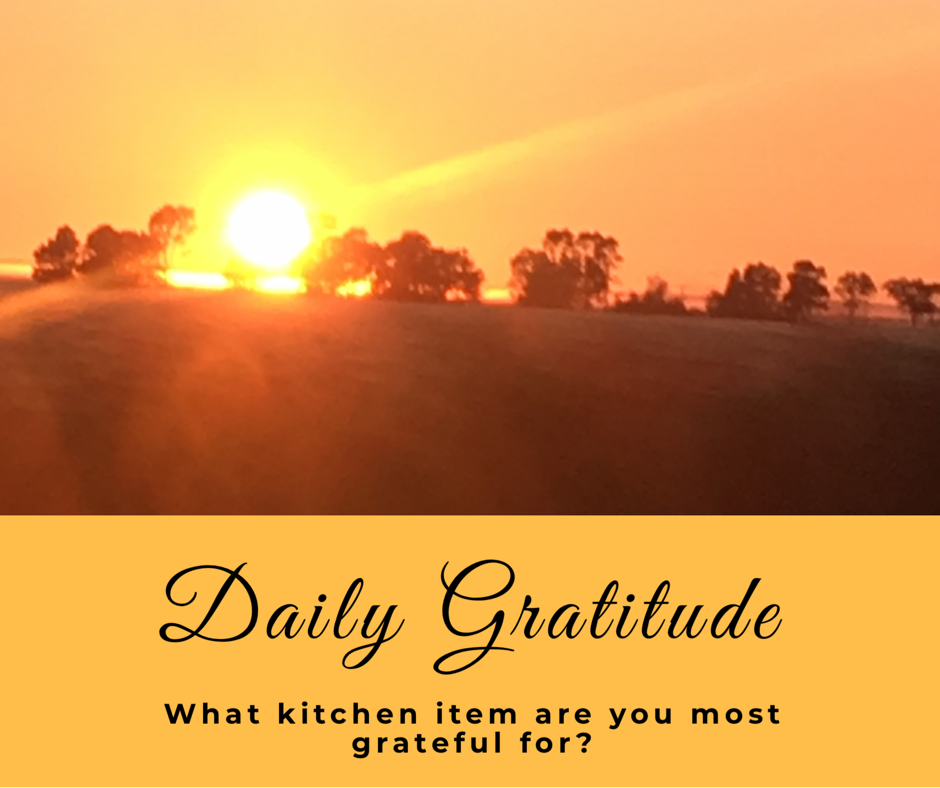 Daily Gratitude