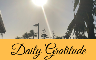 Daily Gratitude 6.4