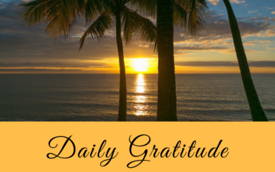 Daily Gratitude 7.3