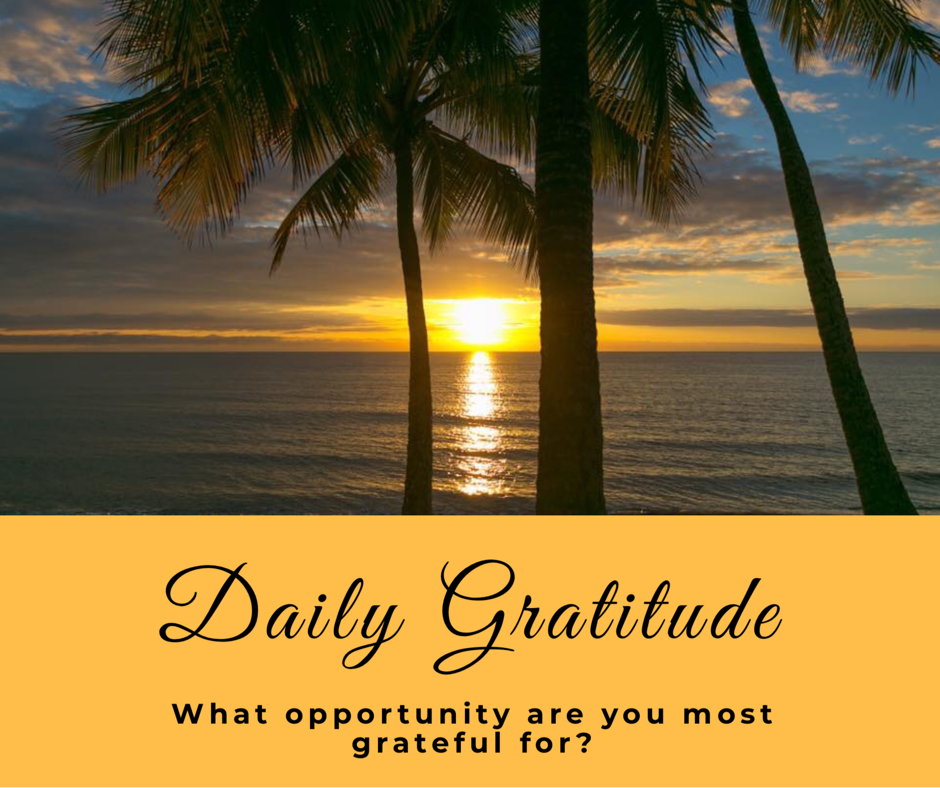 Daily Gratitude