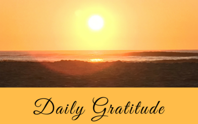 Daily Gratitude 7.8