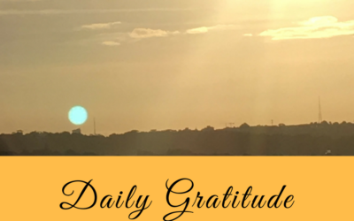 Daily Gratitude 8.1