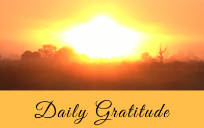 Daily Gratitude 8.3