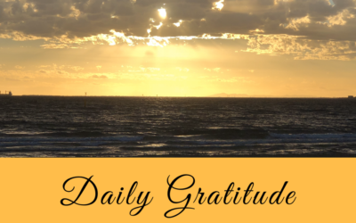 Daily Gratitude 9.3