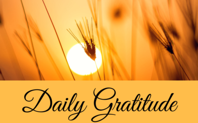 Daily Gratitude 30.12